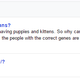 Yahoo! Answers (Screenshot: answers.yahoo.com)